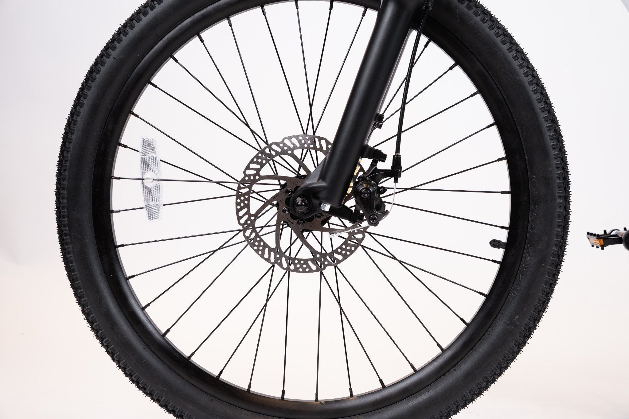 MUVI DINGO 24"