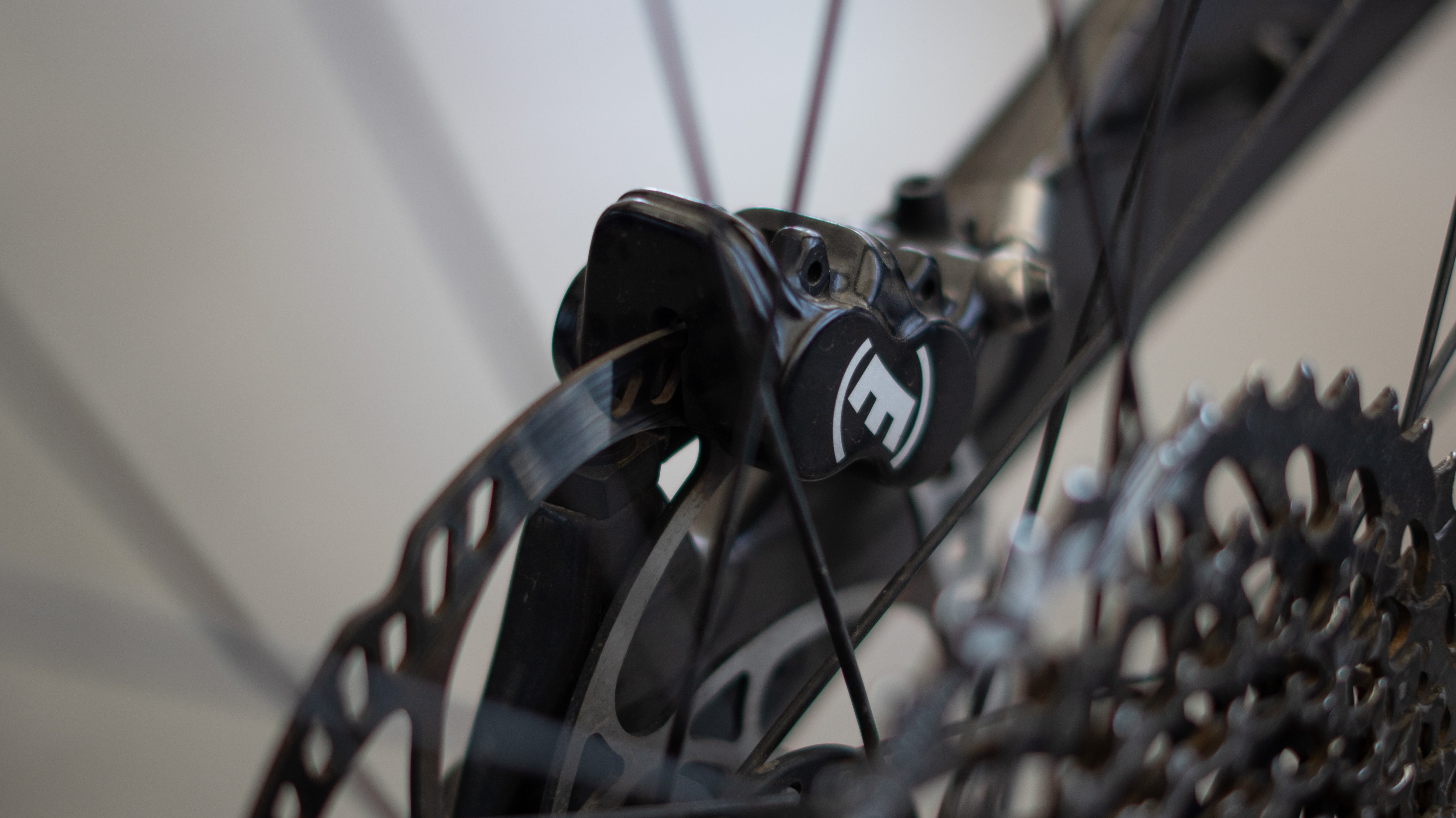 Test Bike Forestal - Siryon Halo Dark Grey 29″ Talla L