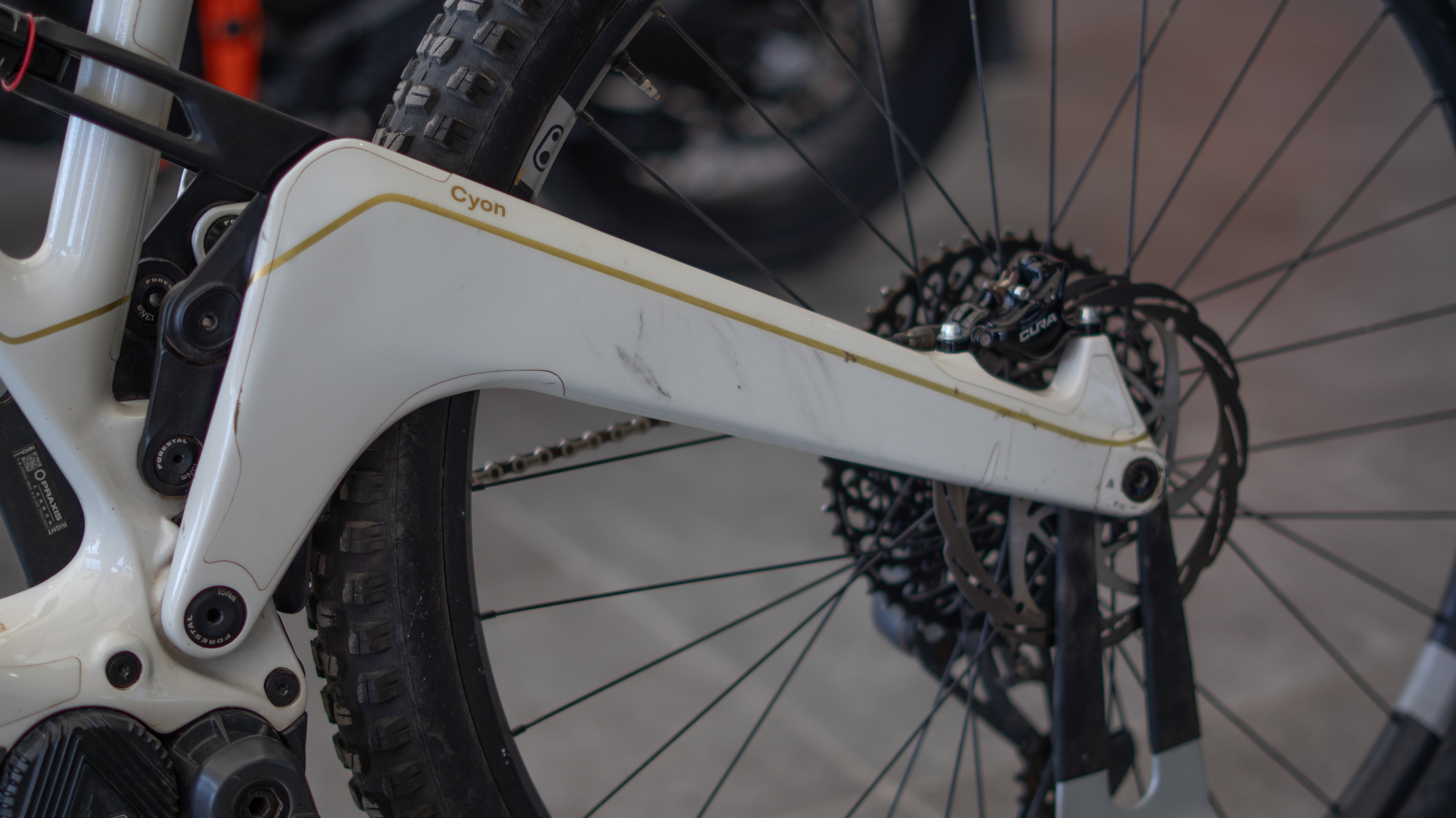 Test Bike Forestal - Cyon Halo Crayon Grey 29"