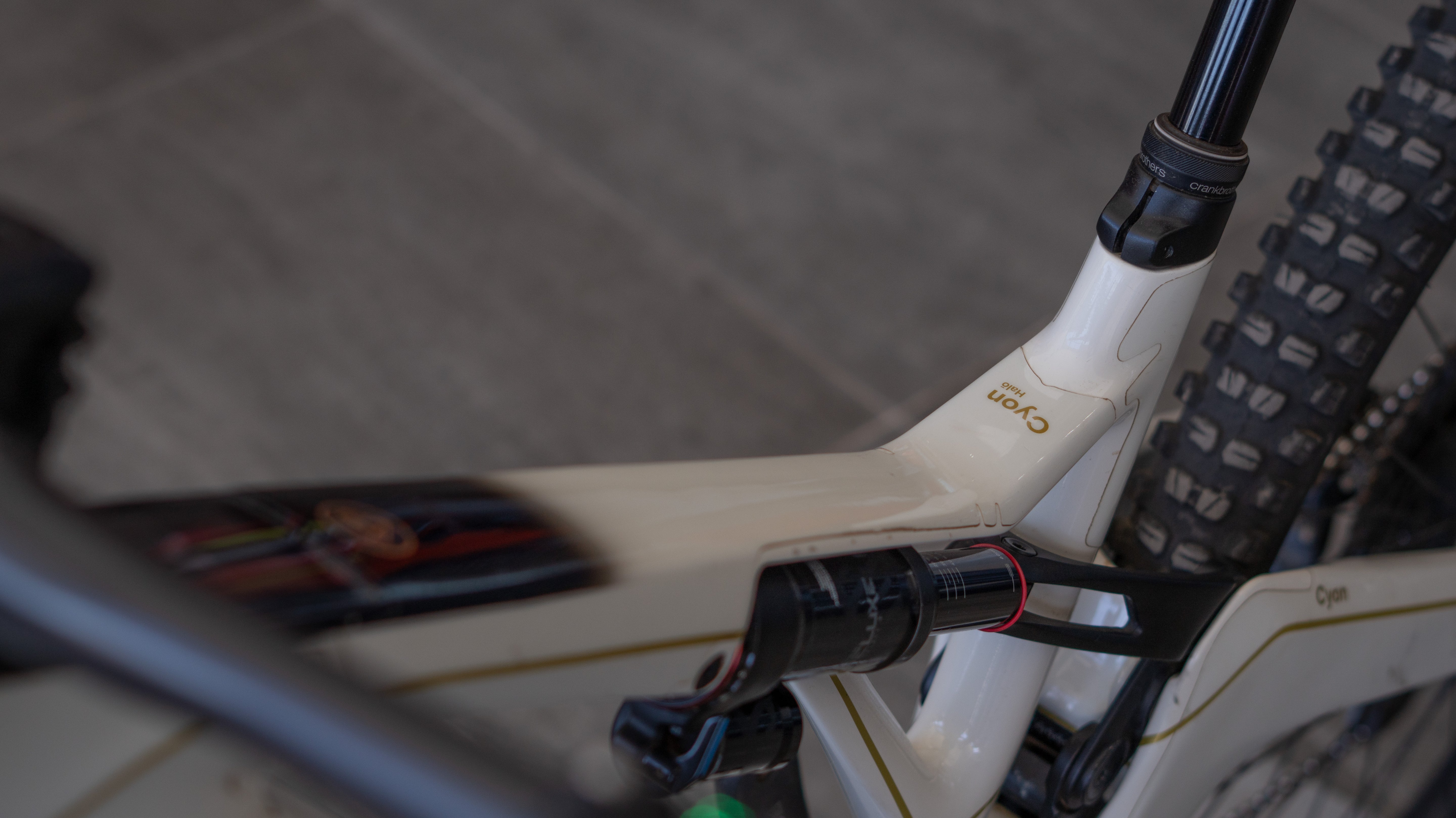 Test Bike Forestal - Cyon Halo Crayon Grey 29"