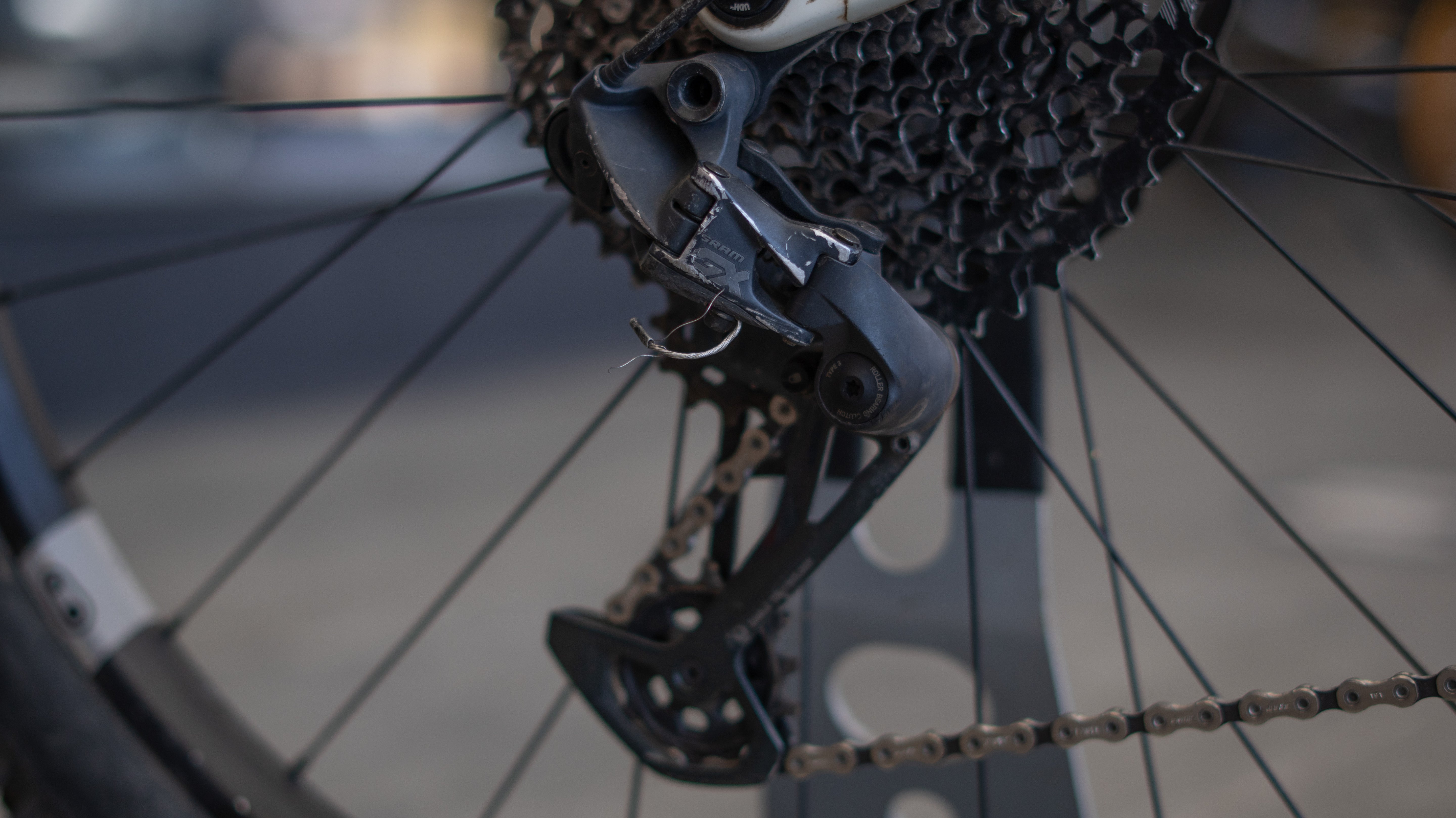 Test Bike Forestal - Cyon Halo Crayon Grey 29"