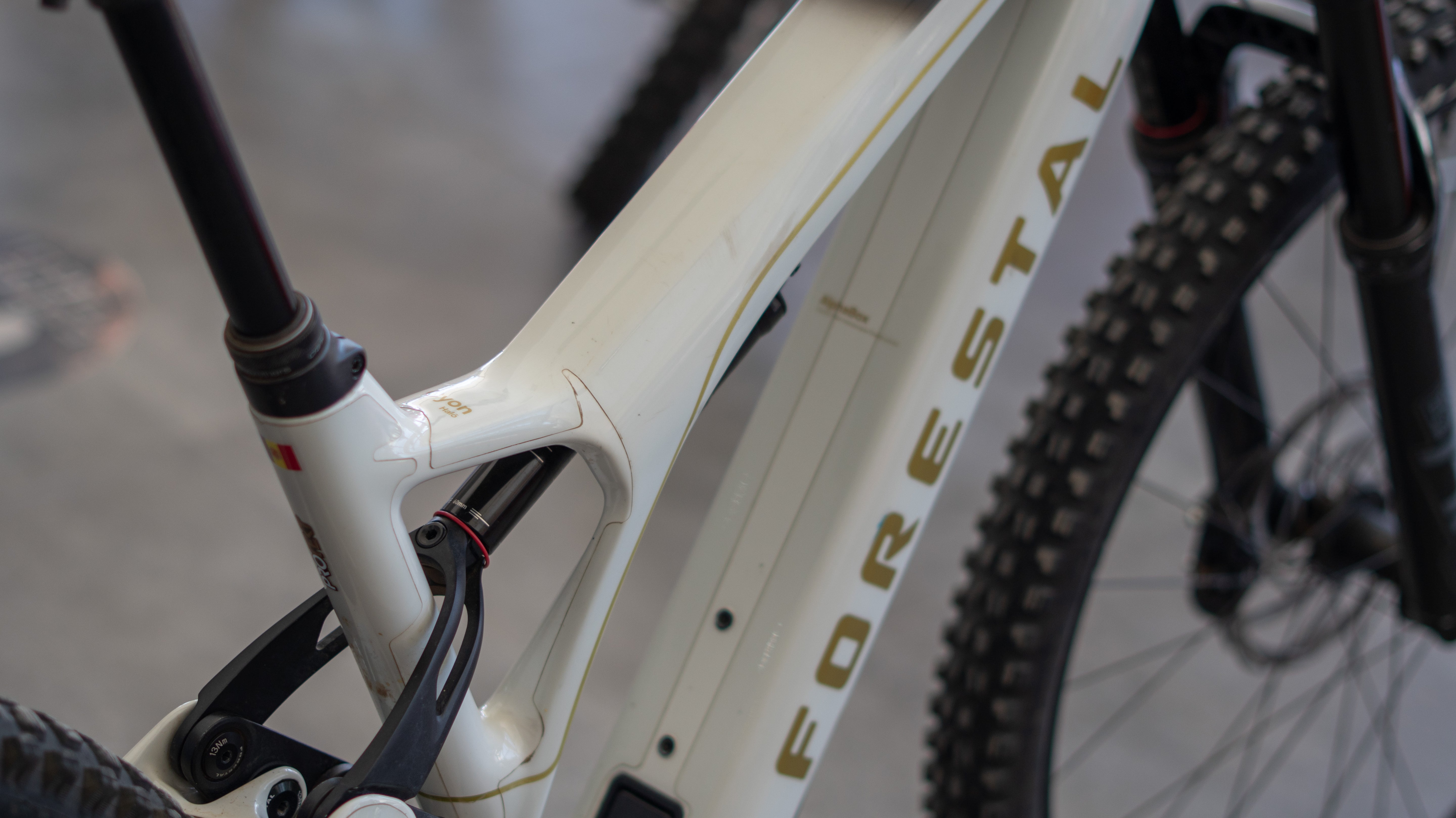 Test Bike Forestal - Cyon Halo Crayon Grey 29"