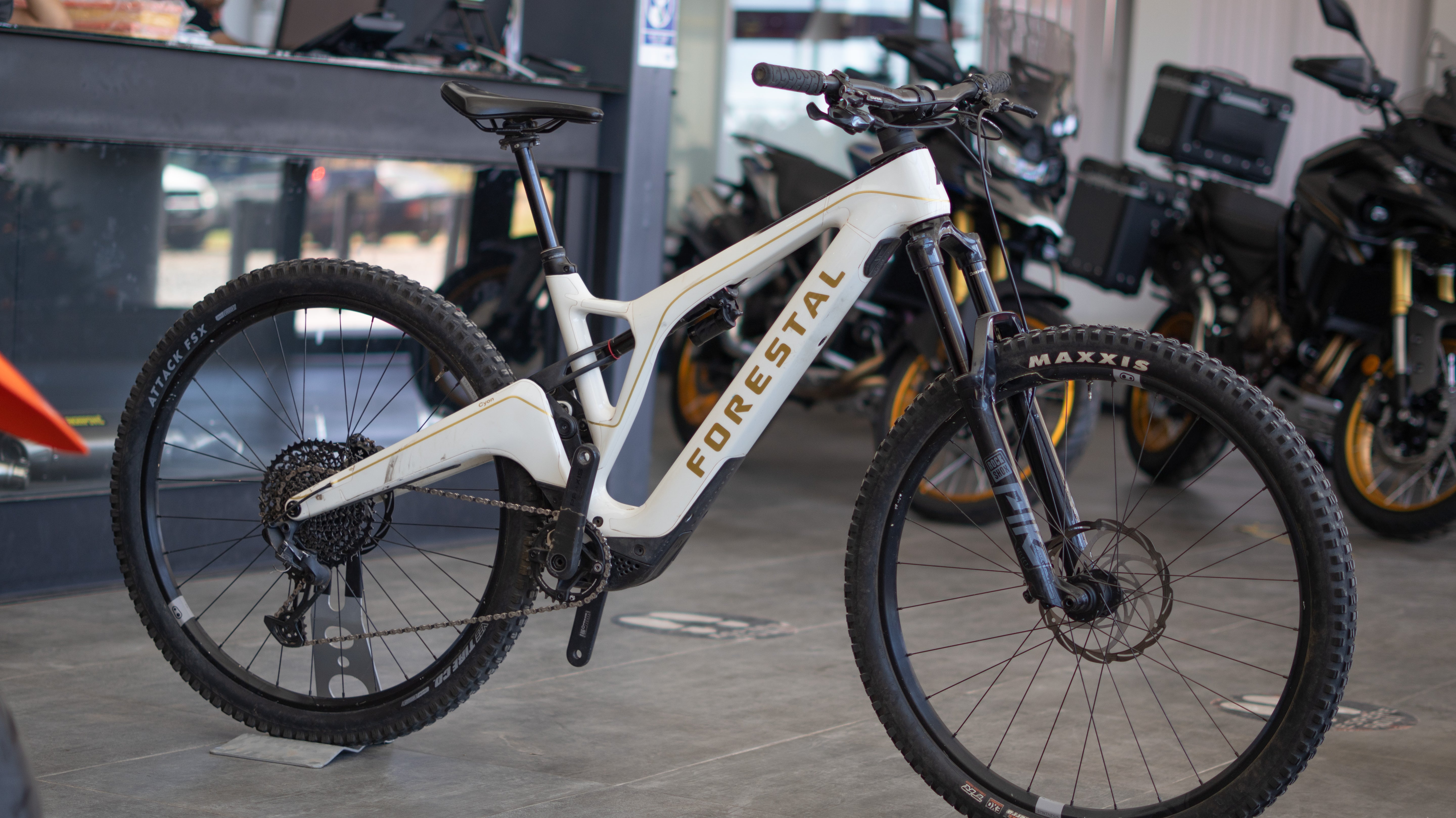 Test Bike Forestal - Cyon Halo Crayon Grey 29"