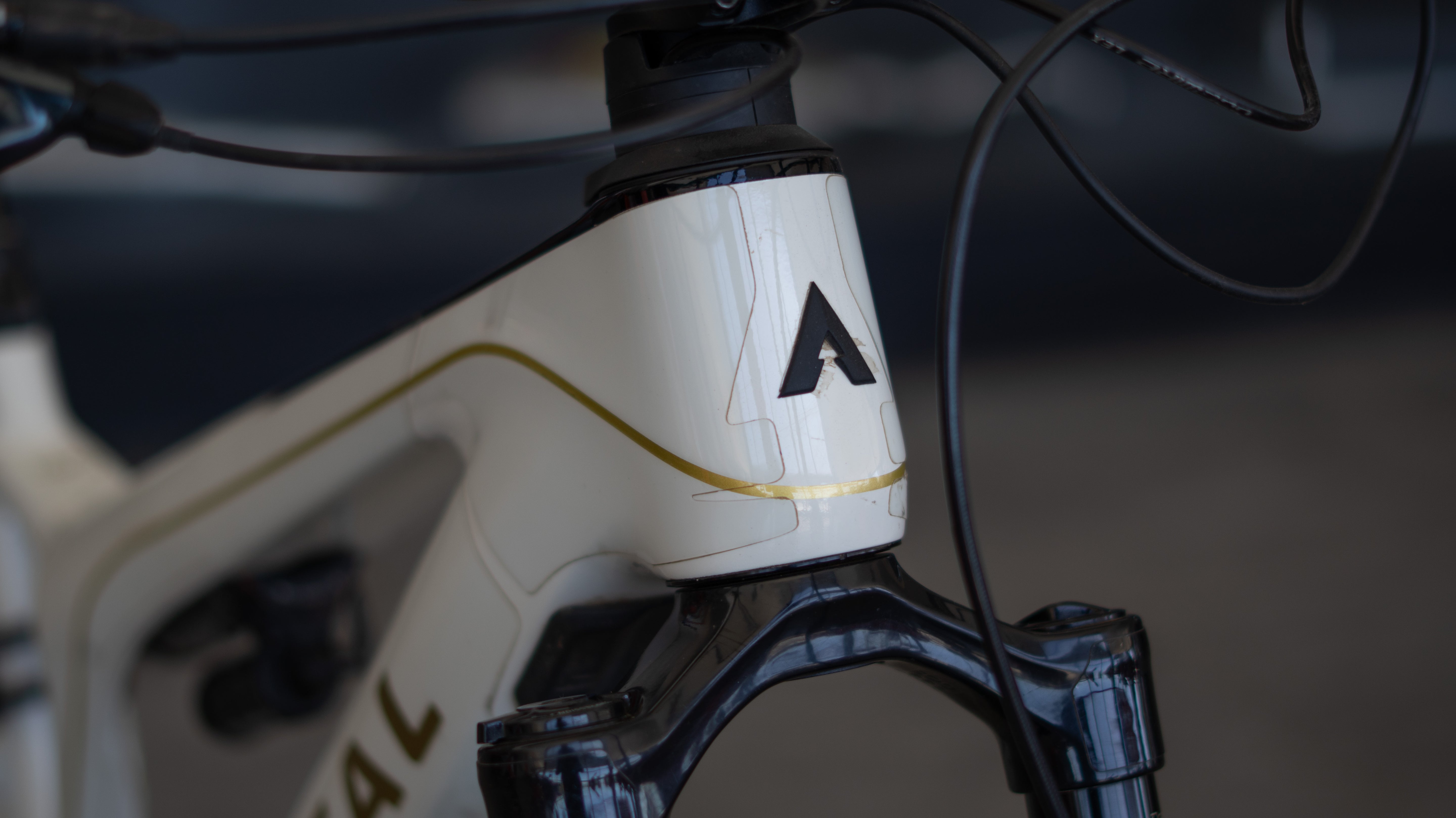 Test Bike Forestal - Cyon Halo Crayon Grey 29"