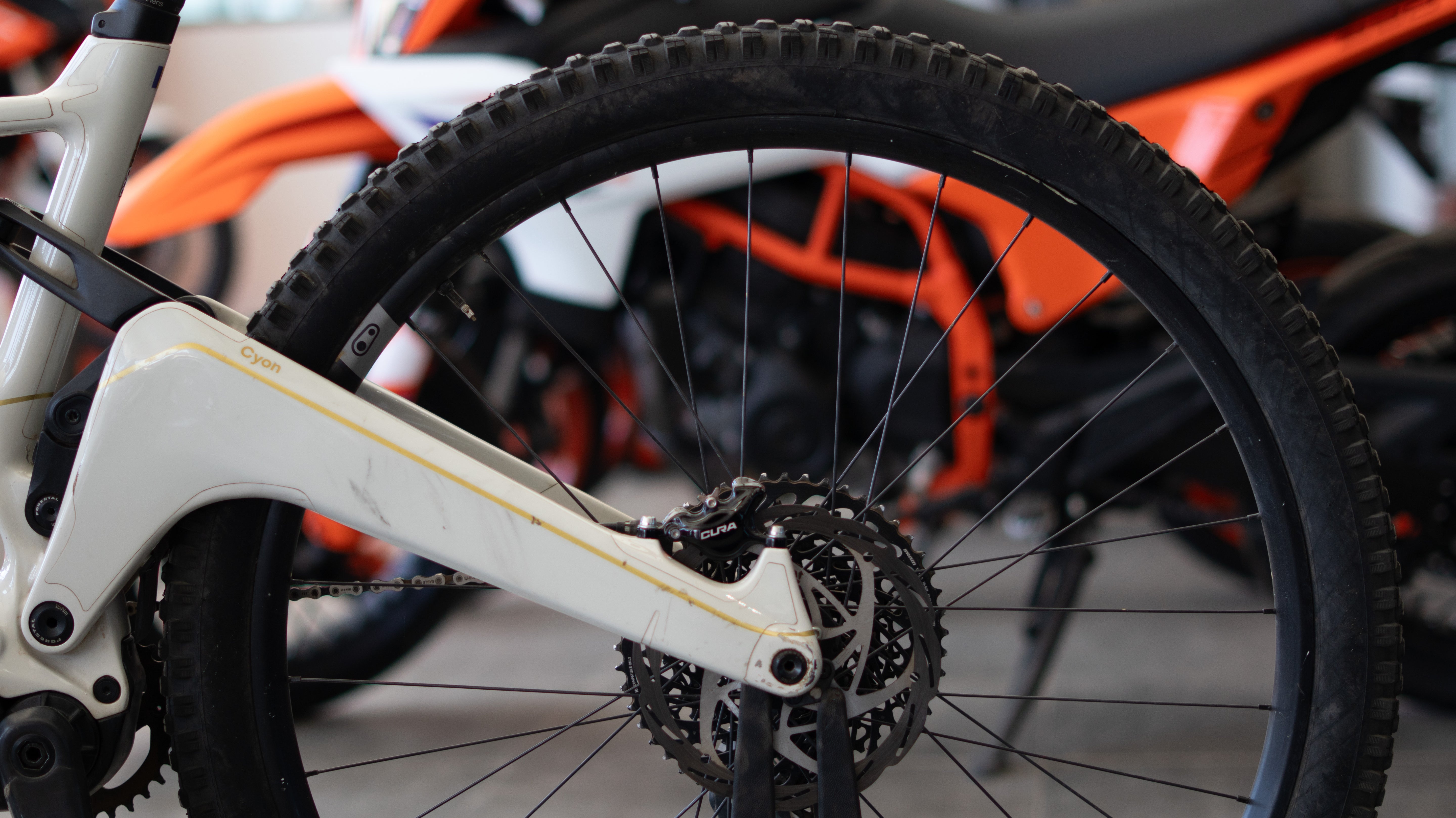 Test Bike Forestal - Cyon Halo Crayon Grey 29"