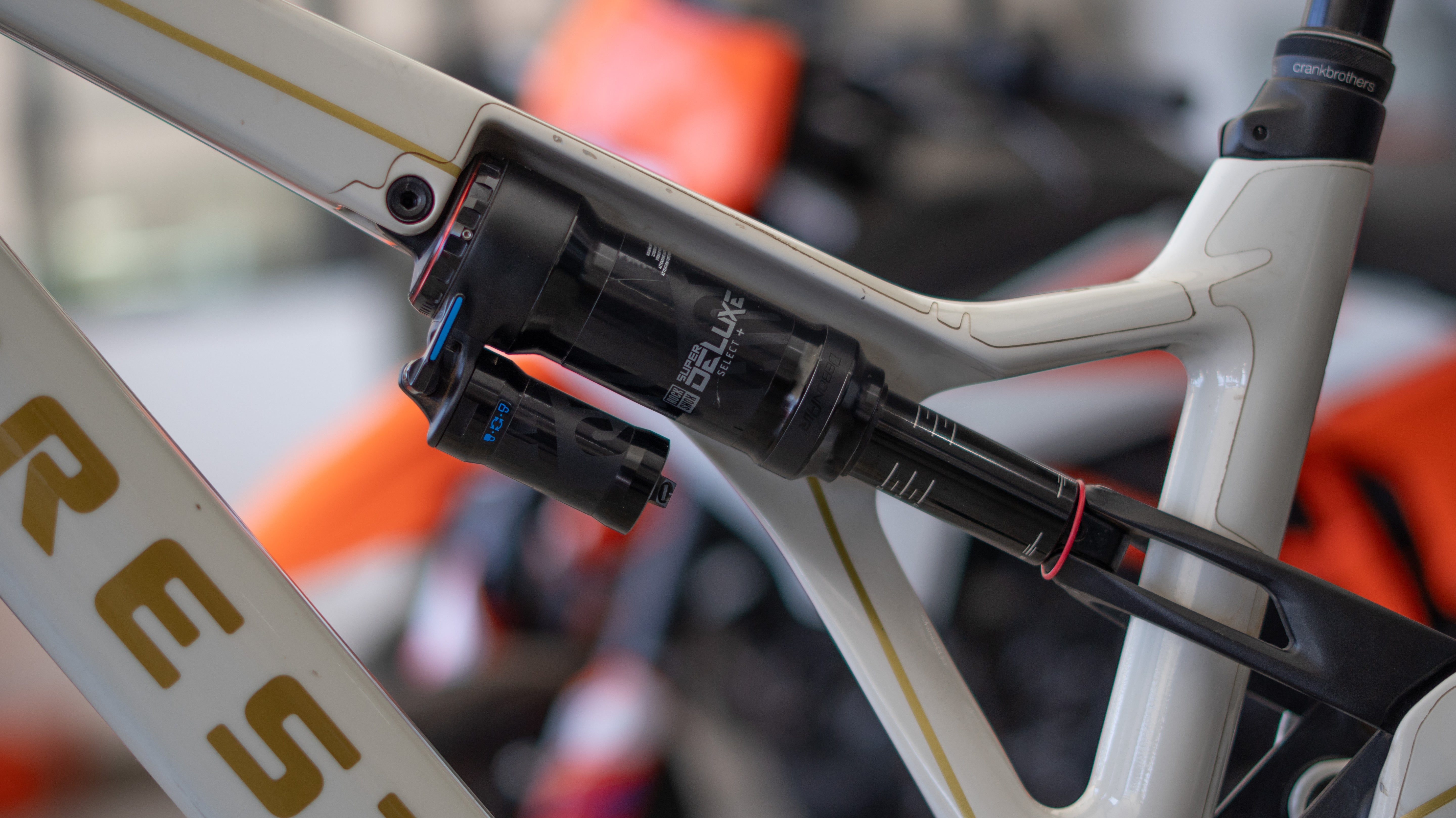 Test Bike Forestal - Cyon Halo Crayon Grey 29"