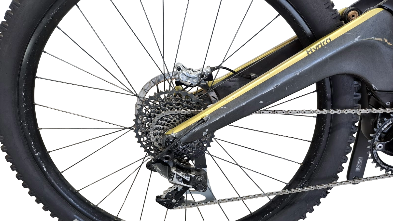 Test Bike Forestal Syrion Halo Dark Grey Talla L