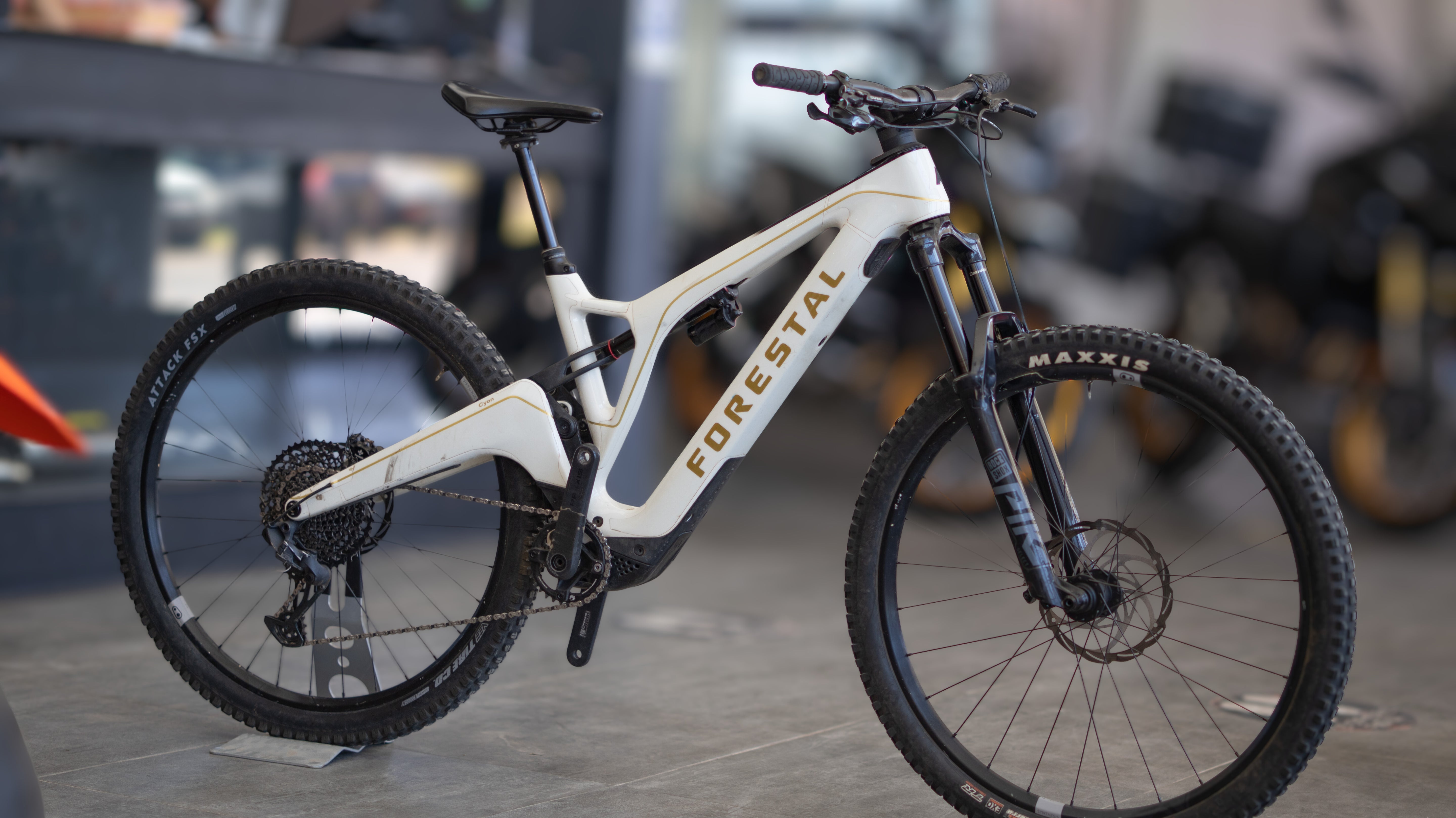 Test Bike Forestal - Cyon Halo Crayon Grey 29"