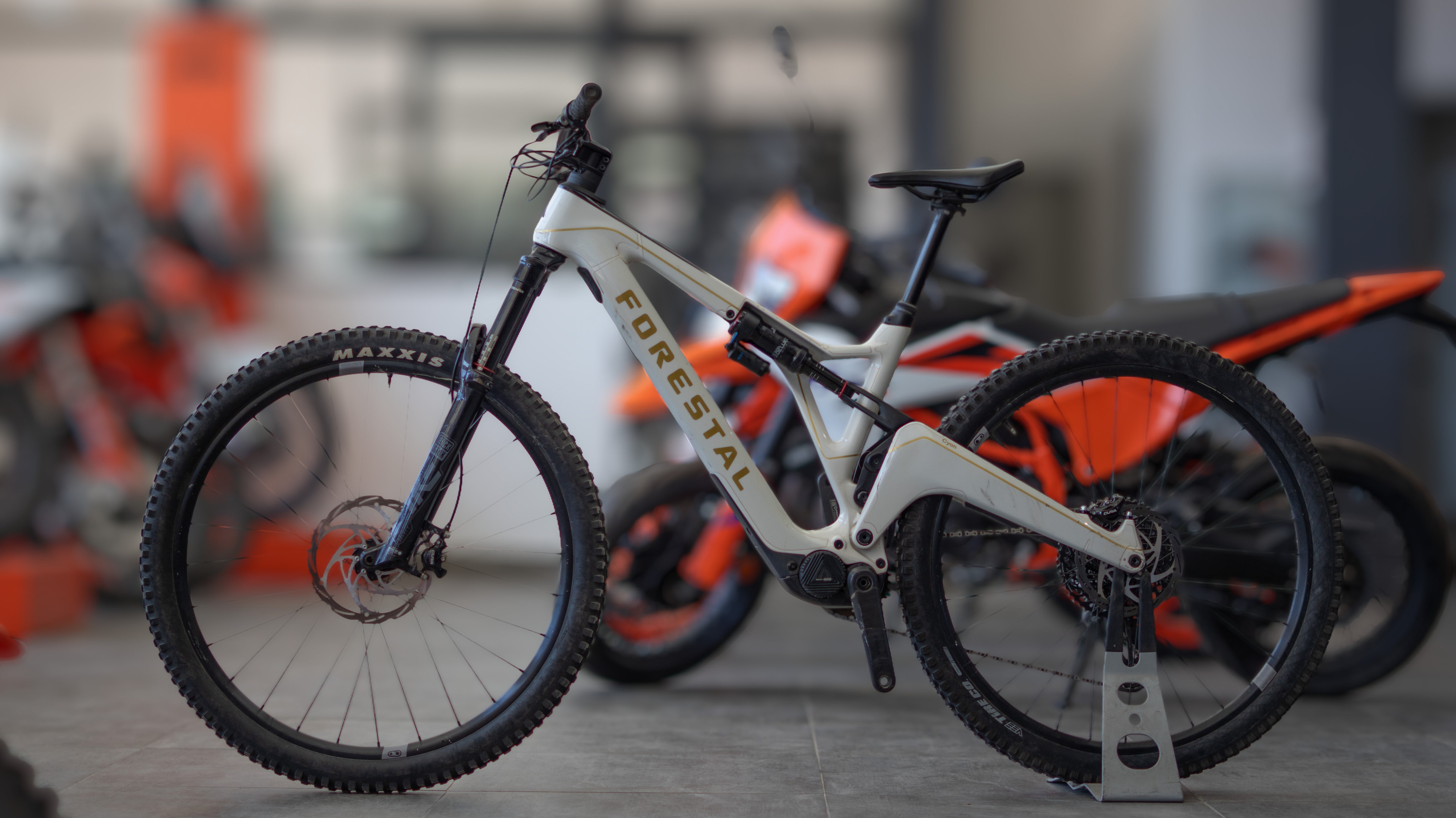 Test Bike Forestal - Cyon Halo Crayon Grey 29"