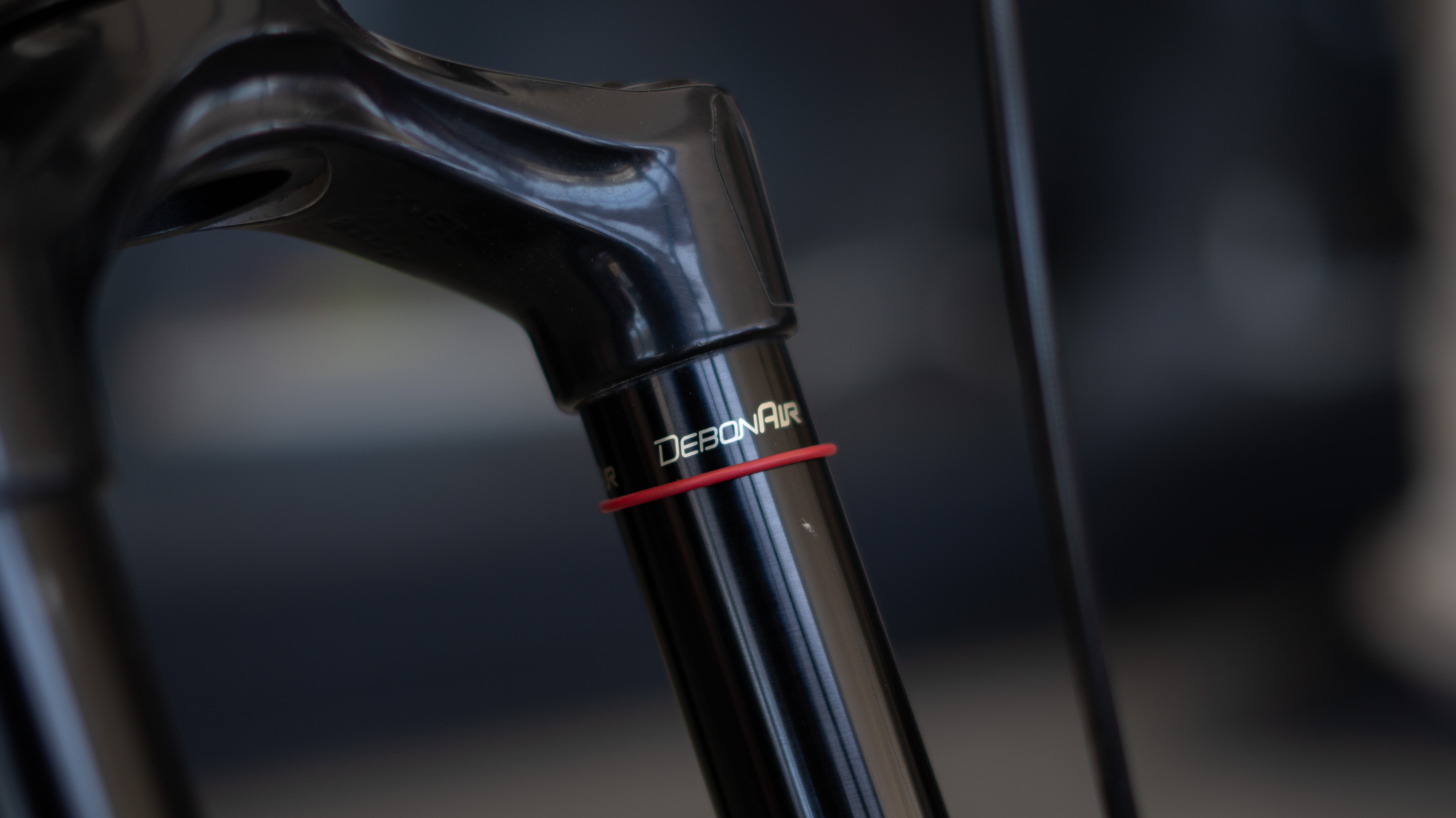 Test Bike Forestal - Siryon Halo Dark Grey 29″ Talla L