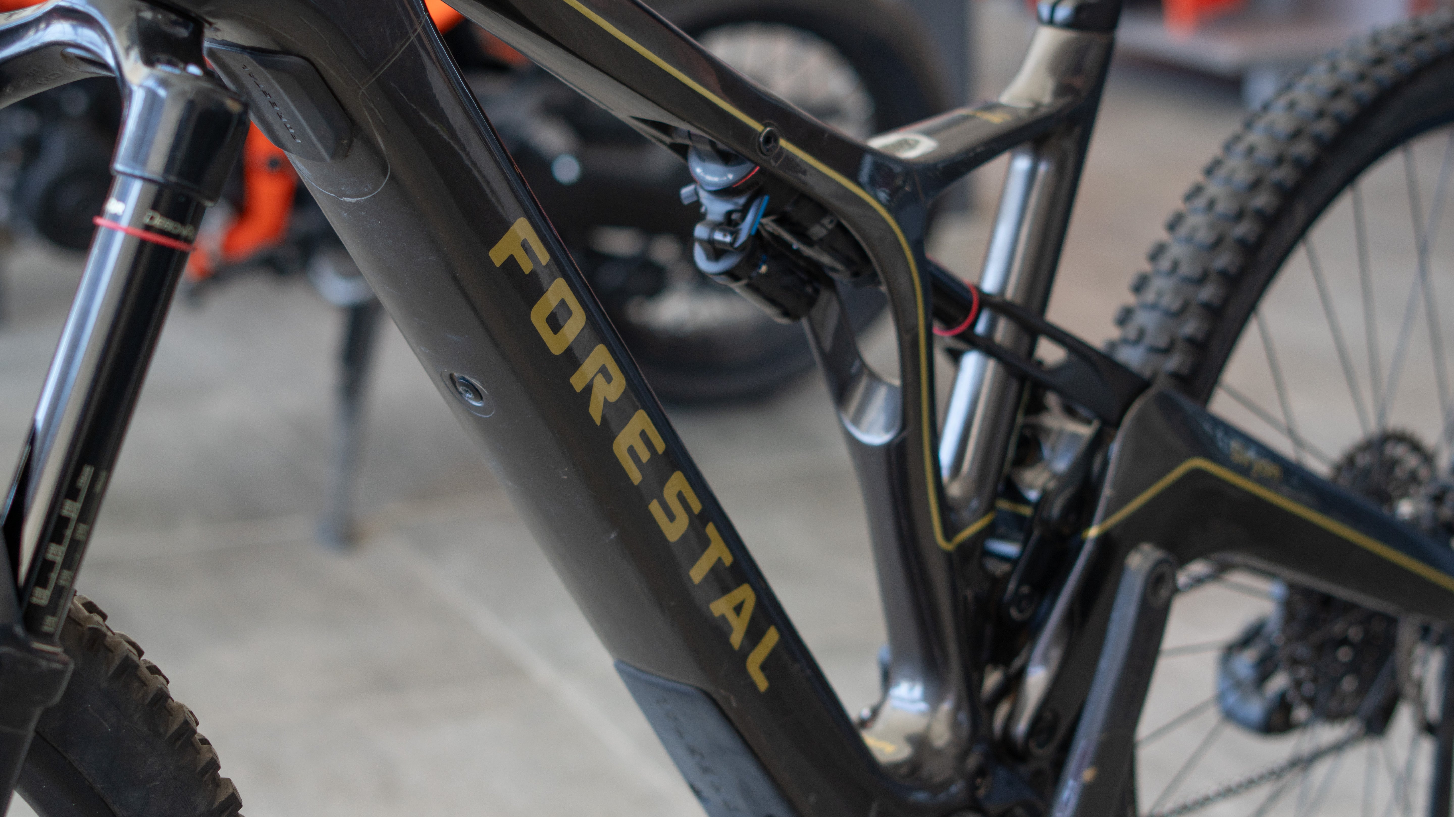 Test Bike Forestal - Siryon Halo Dark Grey 29″ Talla L