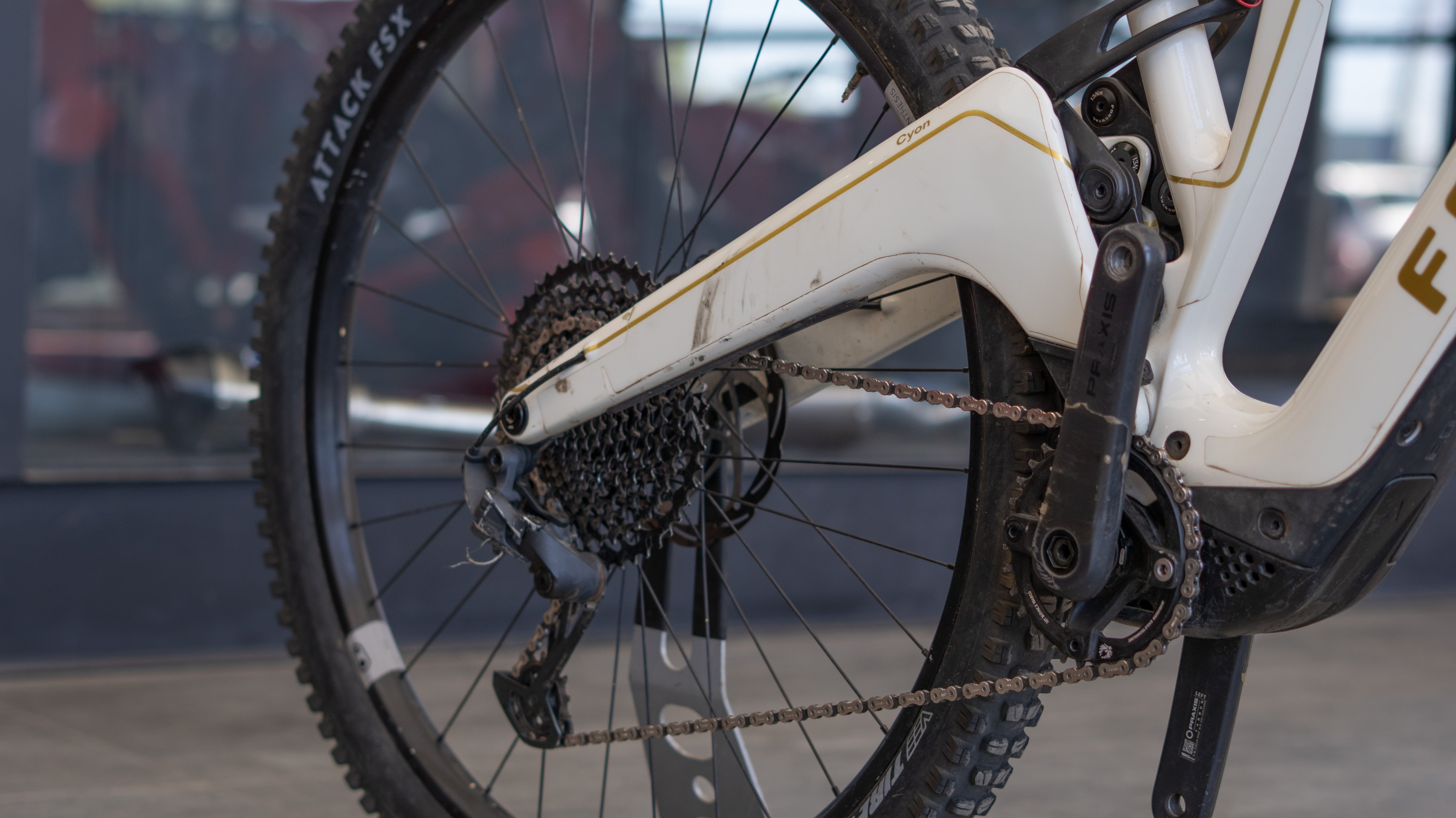 Test Bike Forestal - Cyon Halo Crayon Grey 29"