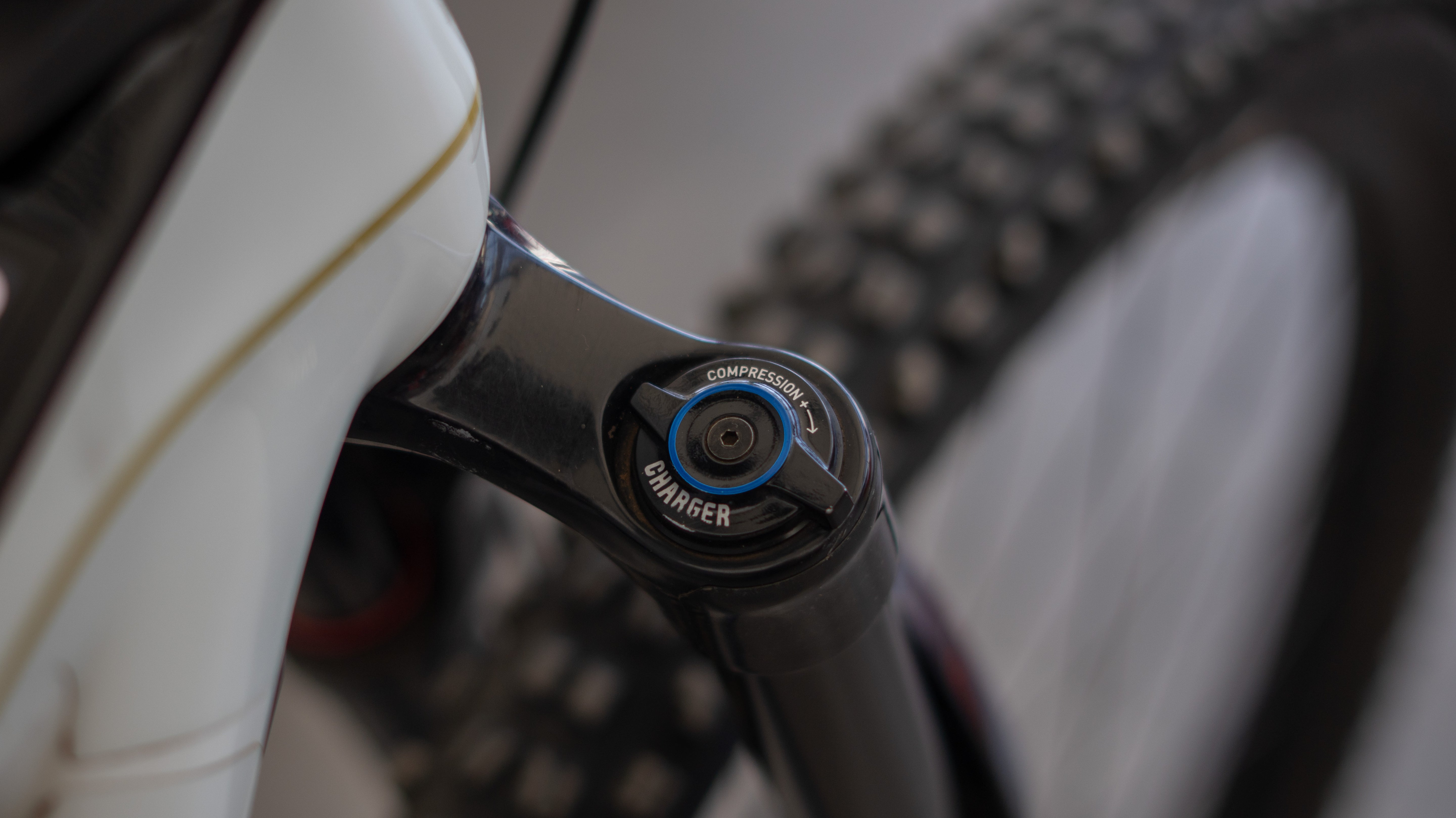 Test Bike Forestal - Cyon Halo Crayon Grey 29"