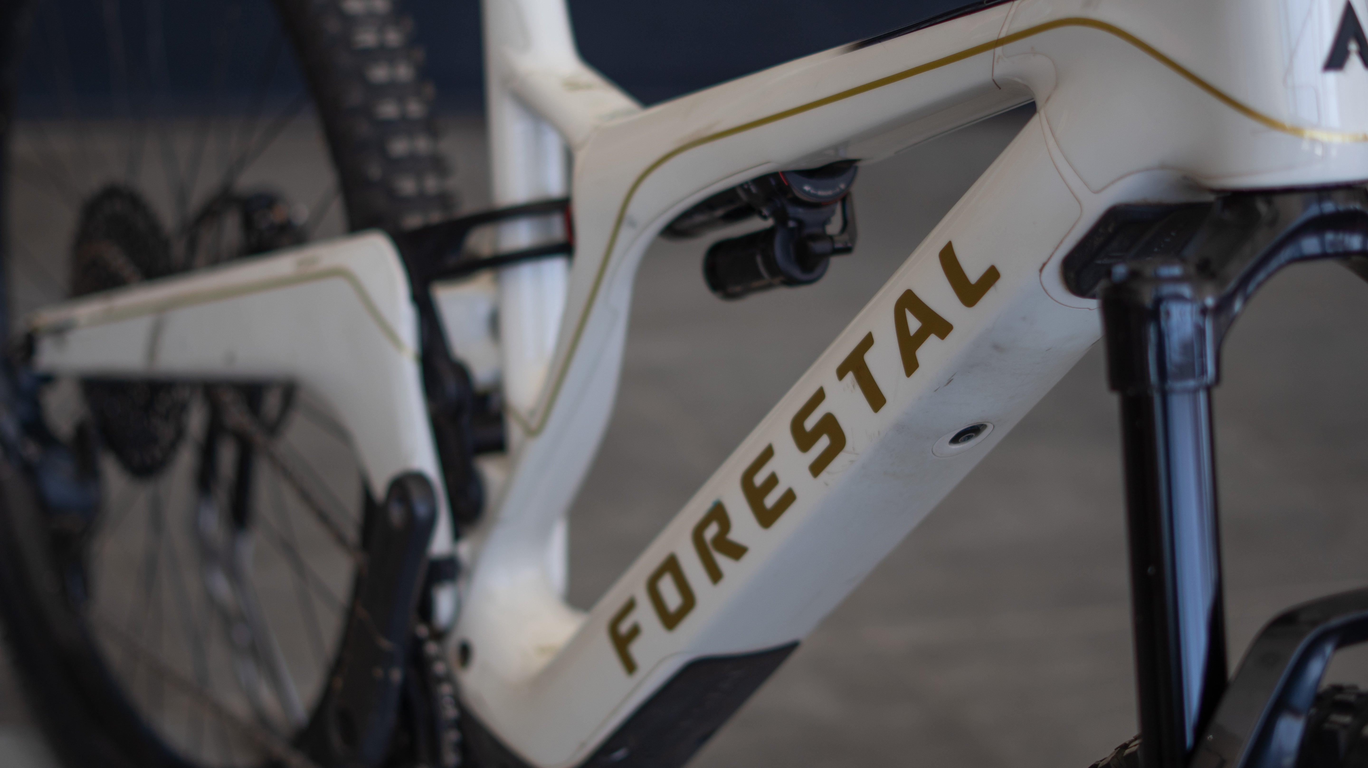 Test Bike Forestal - Cyon Halo Crayon Grey 29"