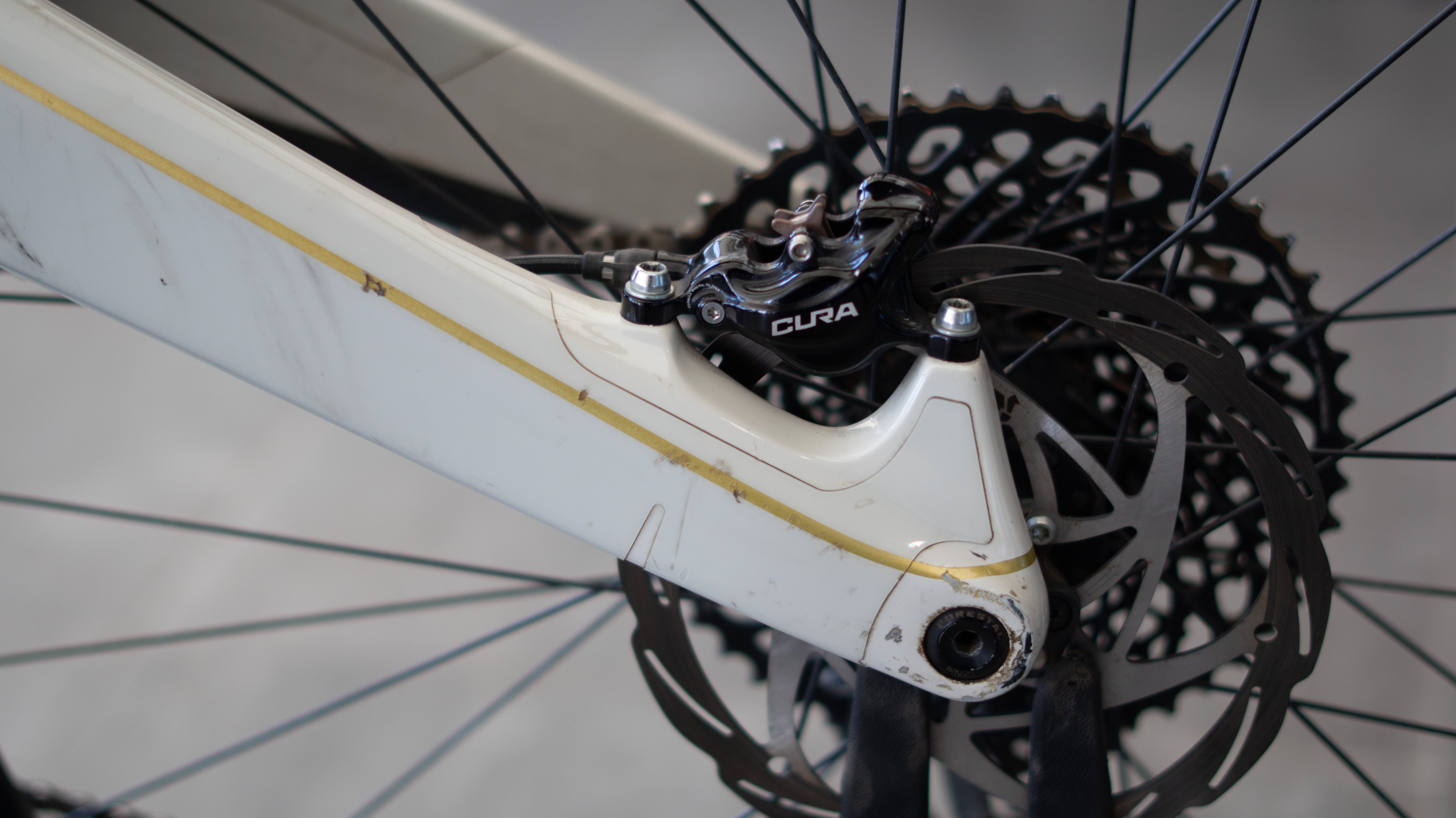 Test Bike Forestal - Cyon Halo Crayon Grey 29"