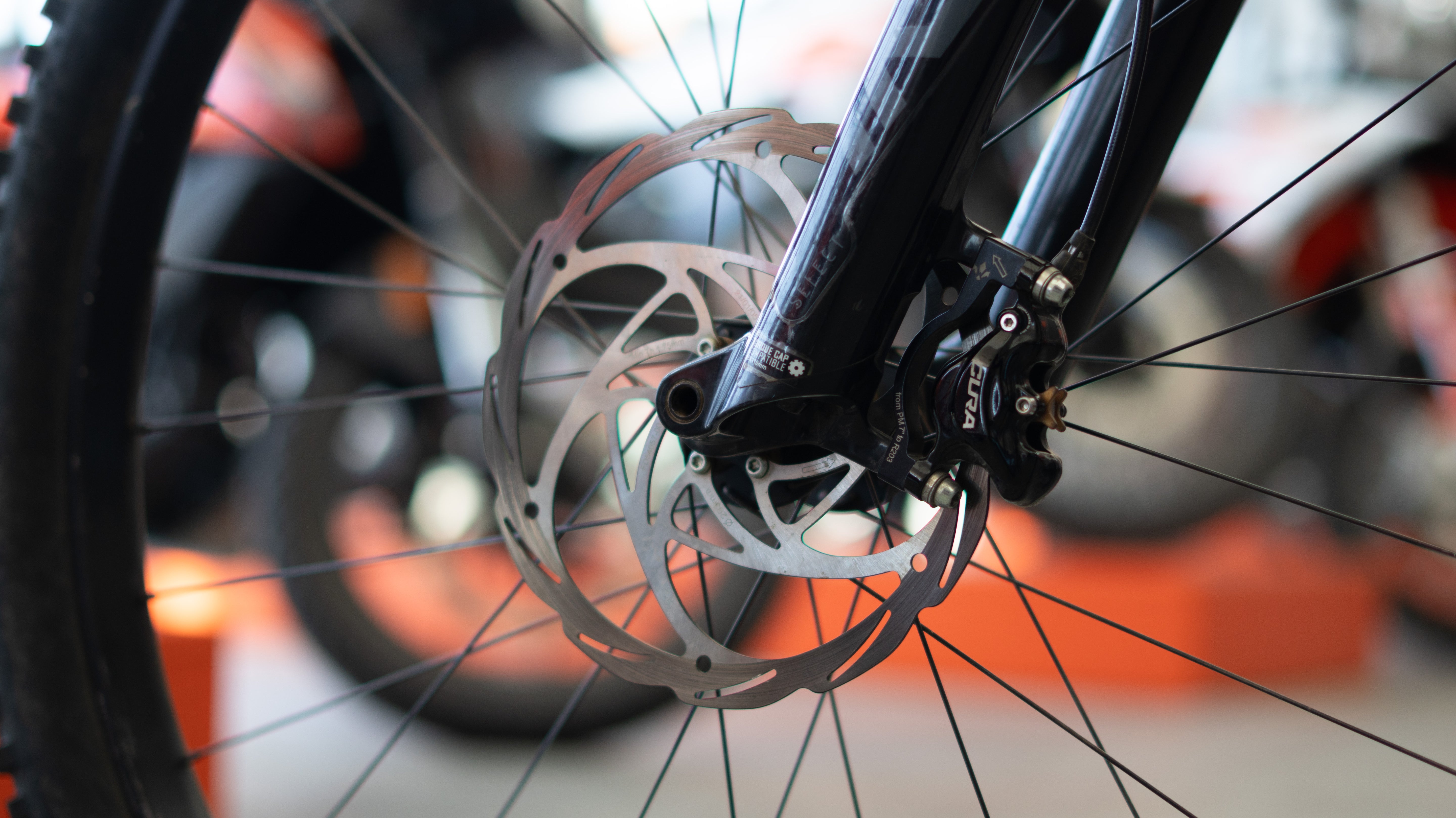 Test Bike Forestal - Cyon Halo Crayon Grey 29"