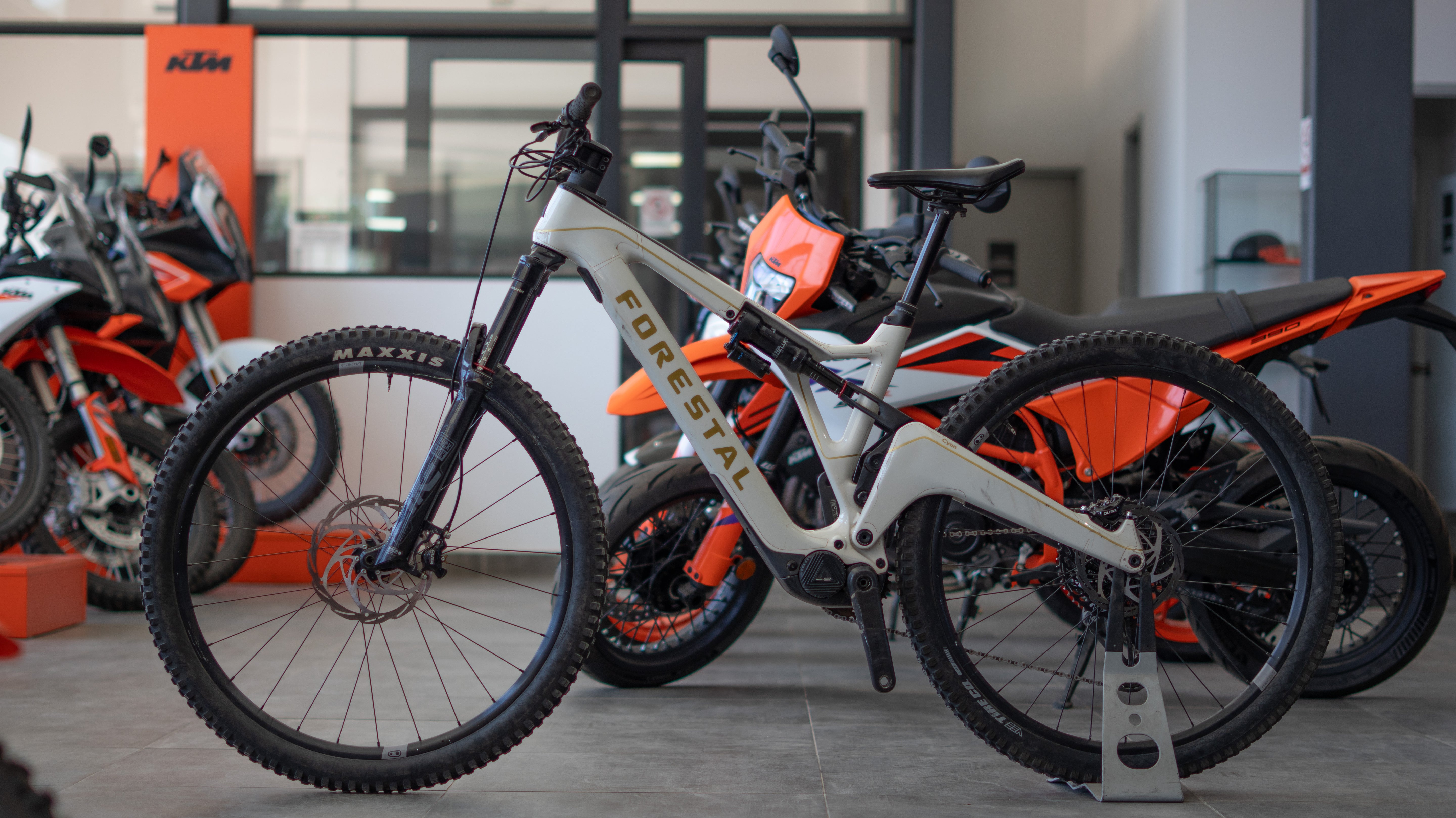 Test Bike Forestal - Cyon Halo Crayon Grey 29"