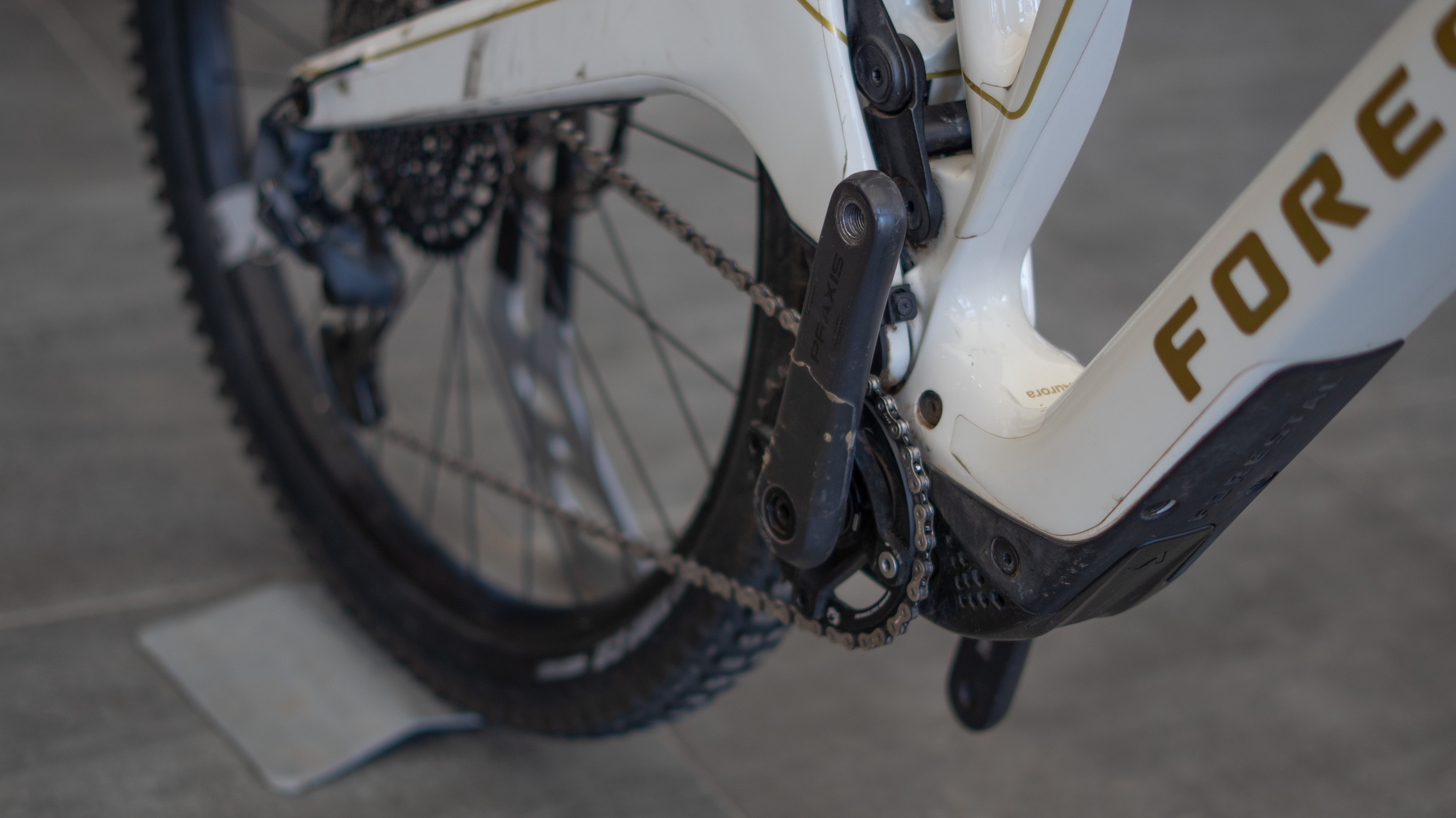 Test Bike Forestal - Cyon Halo Crayon Grey 29"