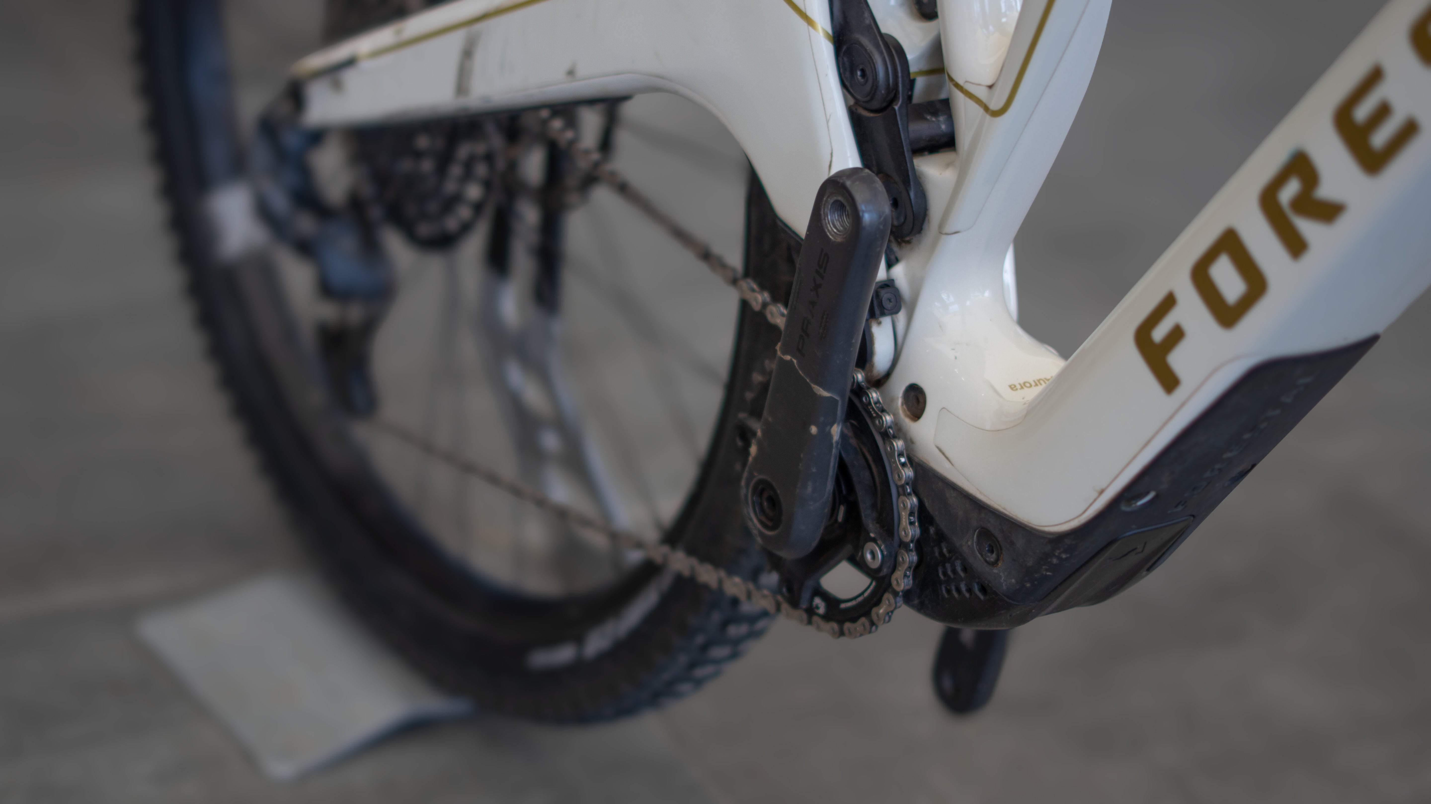 Test Bike Forestal - Cyon Halo Crayon Grey 29"